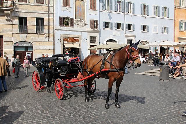 IMG 5090