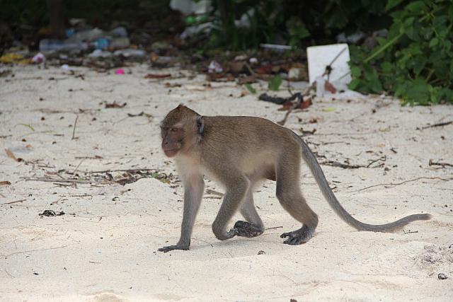 ThailandFerie (156)