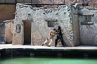 IMG 6938