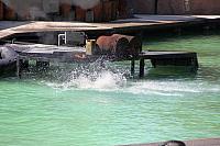 IMG 6990