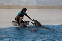 IMG 7376