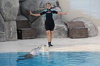 IMG 7405