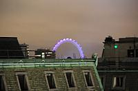 IMG 3613