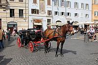 IMG 5090
