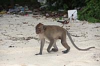 ThailandFerie (156)