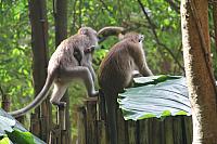 ThailandFerie (180)