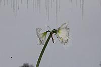 IMG 0027