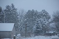 IMG 0132