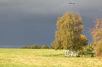 IMG 8746