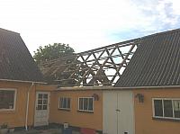 IMG 1103